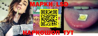 гидра Будённовск