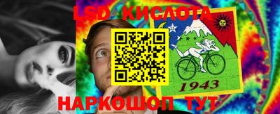 гидра Бузулук