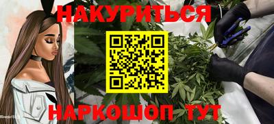 гидра Будённовск