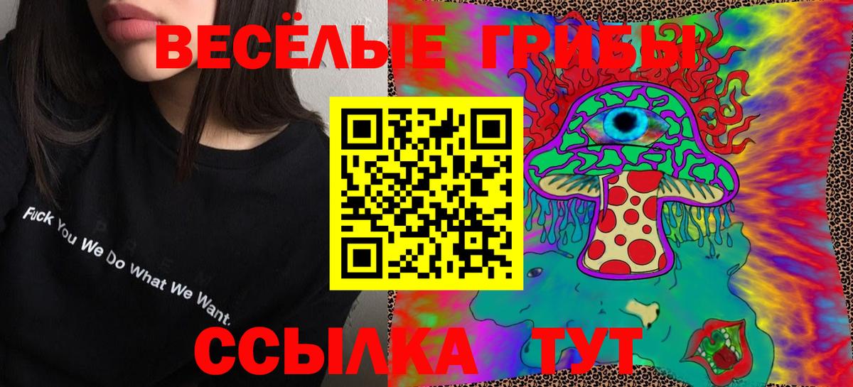 Галлюциногенные грибы Psilocybe  Вход с VPN  Темрюк 