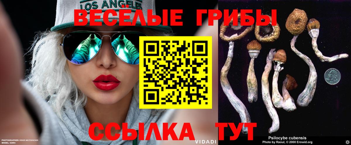 Галлюциногенные грибы Psilocybe Темрюк